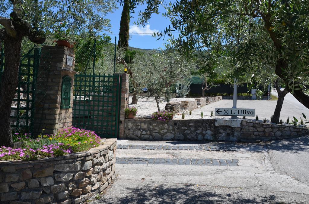 Il Borgo Dell'Ulivo Hotel Trevi Buitenkant foto